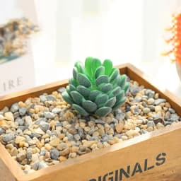 DIY Artificial Succulent Flocked Plant Fake Cactus Home Gardens Bedroom Office Outside Decor Fake Plant Desktop Small Bonsai New