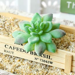 DIY Artificial Succulent Flocked Plant Fake Cactus Home Gardens Bedroom Office Outside Decor Fake Plant Desktop Small Bonsai New