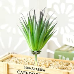 DIY Artificial Succulent Flocked Plant Fake Cactus Home Gardens Bedroom Office Outside Decor Fake Plant Desktop Small Bonsai New