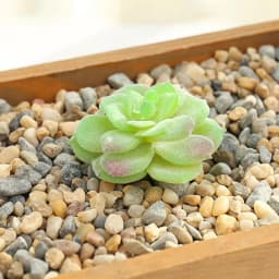 DIY Artificial Succulent Flocked Plant Fake Cactus Home Gardens Bedroom Office Outside Decor Fake Plant Desktop Small Bonsai New