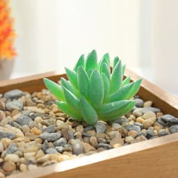 DIY Artificial Succulent Flocked Plant Fake Cactus Home Gardens Bedroom Office Outside Decor Fake Plant Desktop Small Bonsai New
