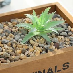 DIY Artificial Succulent Flocked Plant Fake Cactus Home Gardens Bedroom Office Outside Decor Fake Plant Desktop Small Bonsai New