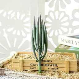 DIY Artificial Succulent Flocked Plant Fake Cactus Home Gardens Bedroom Office Outside Decor Fake Plant Desktop Small Bonsai New