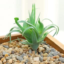 DIY Artificial Succulent Flocked Plant Fake Cactus Home Gardens Bedroom Office Outside Decor Fake Plant Desktop Small Bonsai New