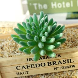 DIY Artificial Succulent Flocked Plant Fake Cactus Home Gardens Bedroom Office Outside Decor Fake Plant Desktop Small Bonsai New