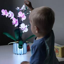 Lazishi LED Light For 10311 Orchid Lighting DIY Toys (Not Include the Model)