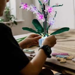 Lazishi LED Light For 10311 Orchid Lighting DIY Toys (Not Include the Model)