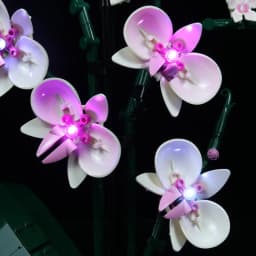 Lazishi LED Light For 10311 Orchid Lighting DIY Toys (Not Include the Model)