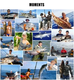 Hercules Fishing Line 12 Strands Carp Accessories 100-2000M PE Braided Wire Camo 10-420LB Fishing Cord Pesca Supplies Tackle