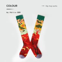 Calf socks European and American ins abstract art knee-length beautiful legs long combed cotton tide socks