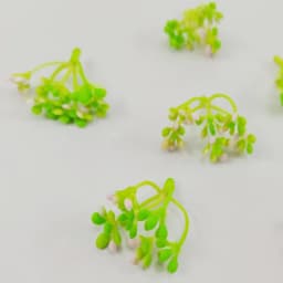 50 pcs Artificial Plants Berries Stamens For Wedding Home Party Christmas Decorations DIY Bouquet Desktop Decoration Scrapbook