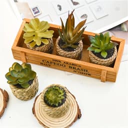 5pcs Set of Artificial Potted Plants Artificial Aloe Vera Fake Succulents Plastic Flower Pots for Home Kitchen Desk Wedding
