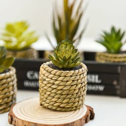 5pcs Set of Artificial Potted Plants Artificial Aloe Vera Fake Succulents Plastic Flower Pots for Home Kitchen Desk Wedding