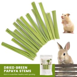 20g Pet Teeth Grinding Papaya Stem Natural Papaya Material For Pet Teeth Grinding And Edible Suitable Hamsters And Rabbits