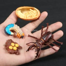 Montessori Wooden Lifelike Insect Animal Life Cycle Board Teaching Plant Animals Growth Cycle Model Set Preschool Cognitive Toy