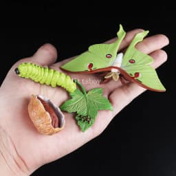 Montessori Wooden Lifelike Insect Animal Life Cycle Board Teaching Plant Animals Growth Cycle Model Set Preschool Cognitive Toy