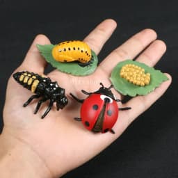 Montessori Wooden Lifelike Insect Animal Life Cycle Board Teaching Plant Animals Growth Cycle Model Set Preschool Cognitive Toy