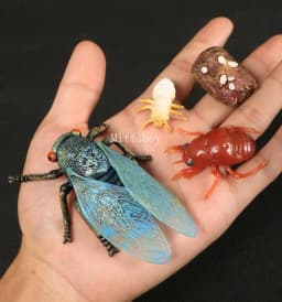 Montessori Wooden Lifelike Insect Animal Life Cycle Board Teaching Plant Animals Growth Cycle Model Set Preschool Cognitive Toy