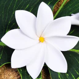5Pcs/Set New Arrival Summer Beach Hairpin Artificial Tiare Flower Hair Clip Hawaii Tropical Headwear Hair Accessories Headflower