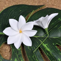 5Pcs/Set New Arrival Summer Beach Hairpin Artificial Tiare Flower Hair Clip Hawaii Tropical Headwear Hair Accessories Headflower