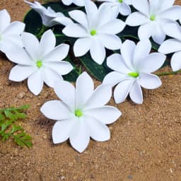5Pcs/Set New Arrival Summer Beach Hairpin Artificial Tiare Flower Hair Clip Hawaii Tropical Headwear Hair Accessories Headflower