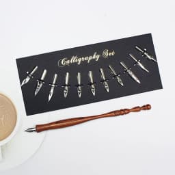 FEATTY Retro Dip Fountain Pen with 12 Nibs Art Calligraphy Writing Wooden Pen Set for Lettering Sketching Drawing Kit