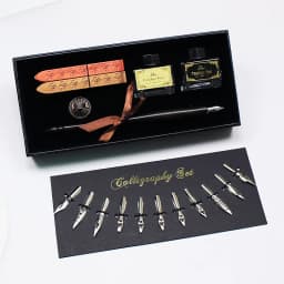 FEATTY Retro Dip Fountain Pen with 12 Nibs Art Calligraphy Writing Wooden Pen Set for Lettering Sketching Drawing Kit