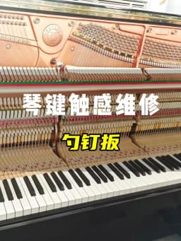 Piano repair tuning tool card nail wrench 1520 combination adjustment keyboard wood top column round square nail wrench tool