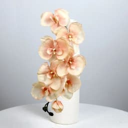 8 Heads Big Silk Artificial Flower Branch Orchid Phalaenopsis Black Burgundy Wedding Home Decor Flowers Potted Orchid Wholesale