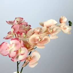 8 Heads Big Silk Artificial Flower Branch Orchid Phalaenopsis Black Burgundy Wedding Home Decor Flowers Potted Orchid Wholesale