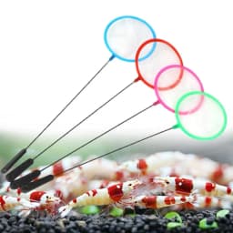 Fish Net Artemia Filter Shrimp Mini Portable Fishing Tank Aquarium Dense Mesh Pore Tool Aquarium Fish Net for Catching Goldfish