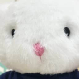 Cute Mei The Bunny Plush Toy Soft Stuffed Long Ears Bunny Doll Sleeping Companion Delicate Home Decoration Kids Gifts