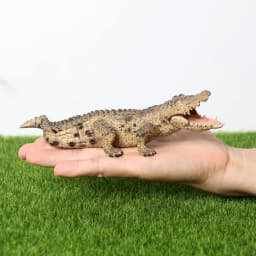 Realistic Plastic Alligator Sarcosuchus Boar Croc Crocodile Wild Animal Model Toy Figurines Party Favors Cake Toppers For Kids