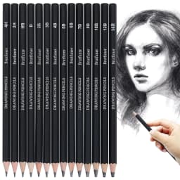 Professional Drawing Sketching Pencil Set,5H-14B Graphite Pencils for Pro Artists,Drawing,Drafting,Sketching,Shading(14 pcs)
