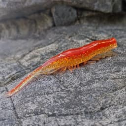 60mm 98mm Soft Silicone Bait, Biting Shrimp Carp Bass, Pike Fishing Lure Gamba Gambas Gambita Lure,Sea Worm Swimbait Rockfishing