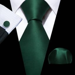 Luxury Mens Ties Set Black Green Leaves Floral Neck Tie Handkerchief Cufflinks Set Wedding Business Party