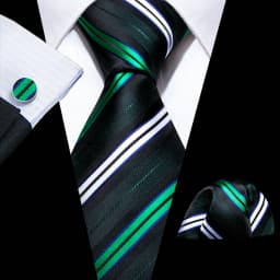 Luxury Mens Ties Set Black Green Leaves Floral Neck Tie Handkerchief Cufflinks Set Wedding Business Party