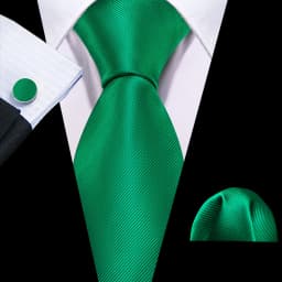 Luxury Mens Ties Set Black Green Leaves Floral Neck Tie Handkerchief Cufflinks Set Wedding Business Party