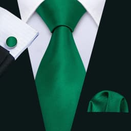 Luxury Mens Ties Set Black Green Leaves Floral Neck Tie Handkerchief Cufflinks Set Wedding Business Party