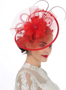 Women Girl Fascinator Hat Alice Headband Hairpin Mesh Hat Feather Cocktail Wedding Kentucky Derby Tea Party Hat Headwear