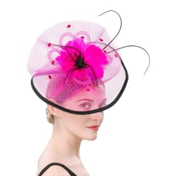Women Girl Fascinator Hat Alice Headband Hairpin Mesh Hat Feather Cocktail Wedding Kentucky Derby Tea Party Hat Headwear