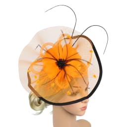 Women Girl Fascinator Hat Alice Headband Hairpin Mesh Hat Feather Cocktail Wedding Kentucky Derby Tea Party Hat Headwear