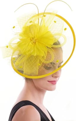 Women Girl Fascinator Hat Alice Headband Hairpin Mesh Hat Feather Cocktail Wedding Kentucky Derby Tea Party Hat Headwear