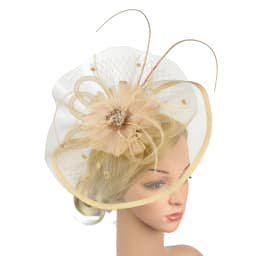 Women Girl Fascinator Hat Alice Headband Hairpin Mesh Hat Feather Cocktail Wedding Kentucky Derby Tea Party Hat Headwear