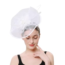 Women Girl Fascinator Hat Alice Headband Hairpin Mesh Hat Feather Cocktail Wedding Kentucky Derby Tea Party Hat Headwear