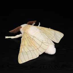 Lifelike Silkworm Moth Plush Toys Soft Insect Rosy Maple Moth Bee Pink Orchid Mantis Beetle Stuffed Animals Toy Gifts