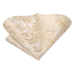 Champagne Floral Paisley Elegant Tie For Men Groom Wedding Yellow Gray Men Necktie Hankerchief Cufflink Accessory Wholesale silk