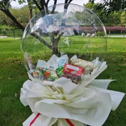 3pcs Wide Neck Bubble Balloon Transparent Clear Giant Pre-Stretched Bobo Ballon Stuffed Animals Party Supplies Decorations