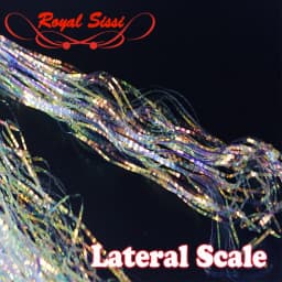 Royal Sissi 1pack Fly Tying Lateral Scale Strands Saltwater Flashbou Bucktail Spinnerbait Fishing Lure Bass Fly Tying Materials