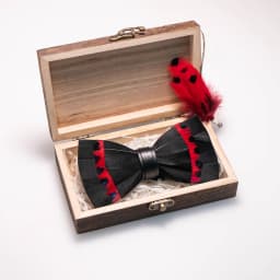 EASTEPIC Handmade Feather Bow Tie Brooch Wooden Box Set Men's Exquisite Accessories for Wedding Party Birthday Gift Necktie